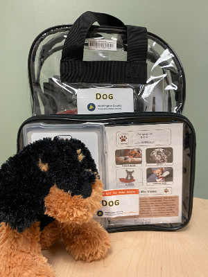 Clear backpack labeled "dog" and a stuffed dog