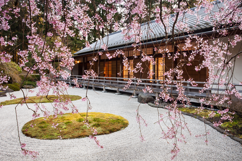 Flat Garden and Pavilion from Beneath the Weeping Cherry. Photo by Joanthan Ley