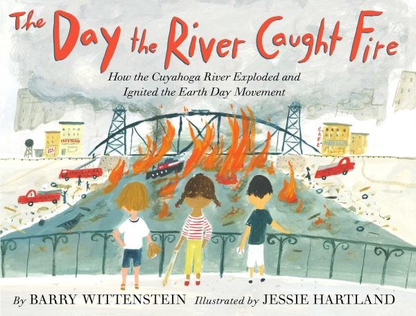 Cover image of The Day the River Caught Fire by Barry Wittenstein