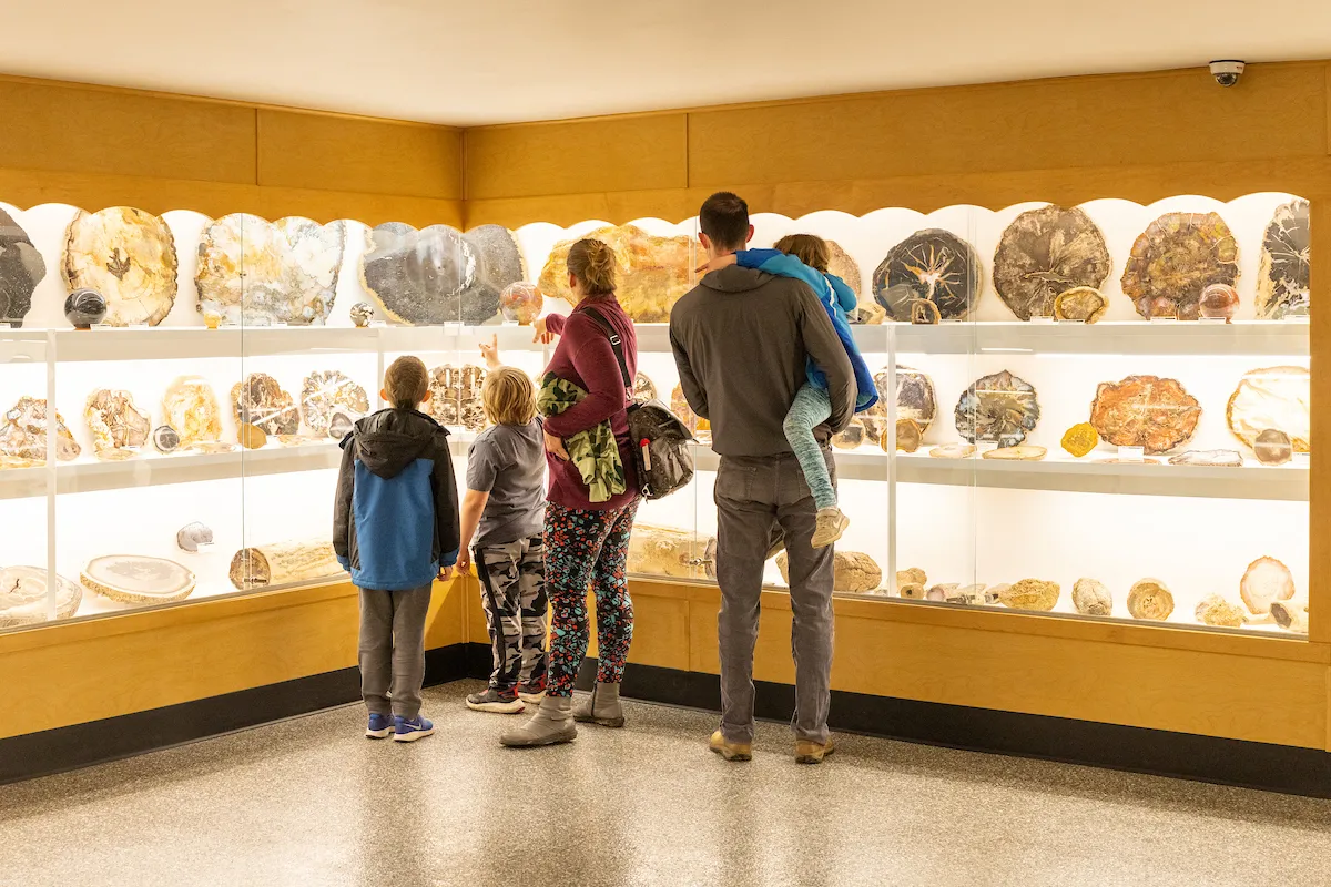 Family of four looking at rock exhibit in museum.
